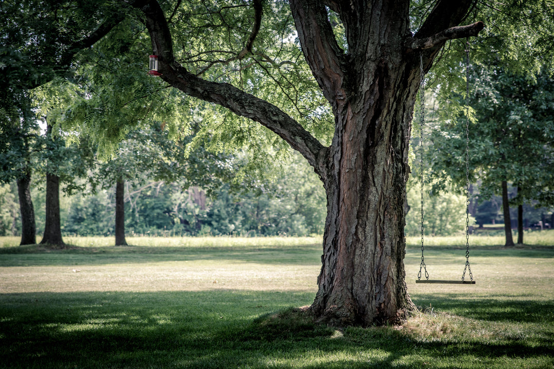 How to Hang a Swing From a Tree (The Best Way)