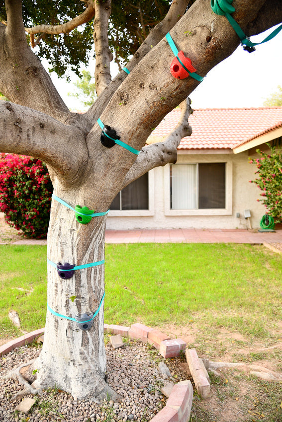 Slackers Peg Climbers