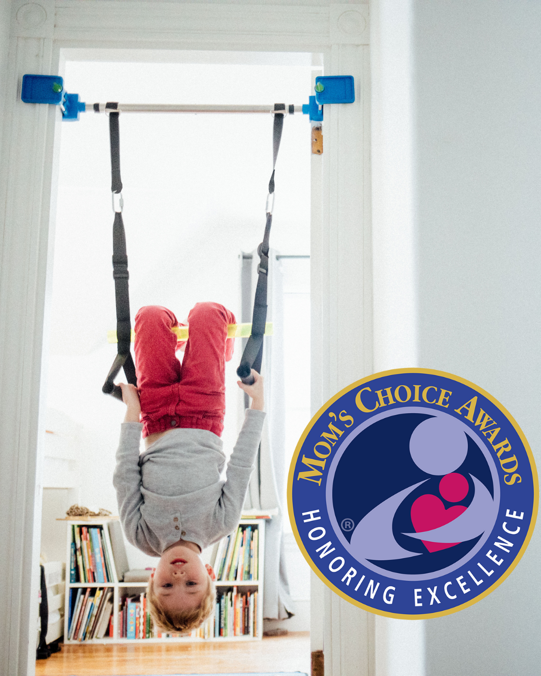 Kidtrix™ Deluxe Doorway Swing